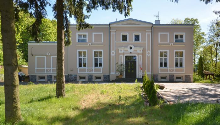 Herrenhaus/Gutshaus powiat ostródzki, gmina Ostróda, Grabin, Grabinek