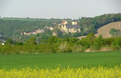 Schloss kaufen 97453 Schonungen, Ernst Sachs Straße 6, Bayern, Ansicht von der Mainseite