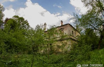 Schloss kaufen Czerna, Pałac w Czernej, Lebus, Foto 6/8