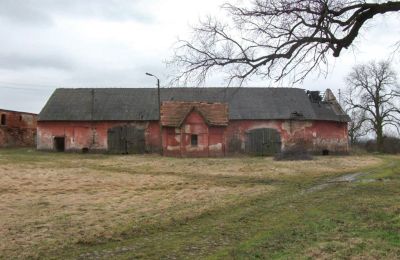 Schloss kaufen Osetno, Pałac w Osetnie, Niederschlesien, Foto 5/8