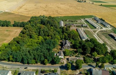 Herrenhaus/Gutshaus kaufen Rogoźno, Dwór w Studzieńcu 28, Großpolen, Lage der Immobilie