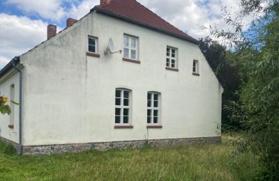 Herrenhaus/Gutshaus kaufen 17349 Golm, Friedländer Chaussee 19, Mecklenburg-Vorpommern, Seitenansicht