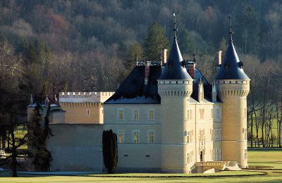 Charakterimmobilien, Exklusives mittelalterliches Chateau mit weitläufigem Grundstück