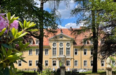 Schloss kaufen Sachsen, Rückseite