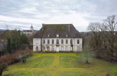 Schloss kaufen Besançon, Burgund-Franche-Comté, Außenansicht