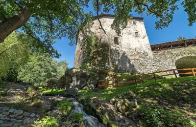 Burg kaufen Karlovarský kraj, Foto 27/31