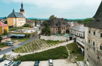 Burg kaufen Karlovarský kraj, Aussicht