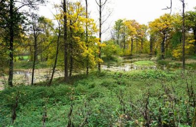 Burg kaufen Zagórzany, Kleinpolen, Teich/See