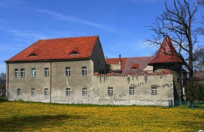 Charakterimmobilien, Schloss Langenbielau: Pałac w Bielawie