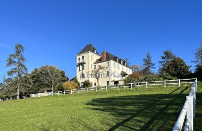 Herrenhaus/Gutshaus kaufen Pau, Neu-Aquitanien, Foto 2/23