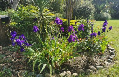 Herrenhaus/Gutshaus kaufen Marciac, Okzitanien, Garten