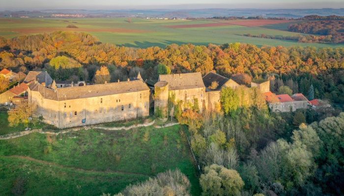 Schloss kaufen Roussy-le-Bourg, Grand Est,  Frankreich