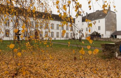 Schloss kaufen Roussy-le-Bourg, Grand Est, Außenansicht