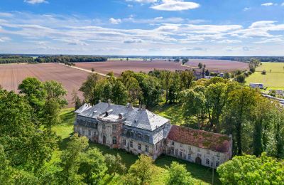 Schloss kaufen Minkowskie, Minkowskie  69, Oppeln, Foto 5/43