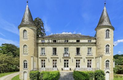 Schloss kaufen Zentrum-Loiretal, Vorderansicht