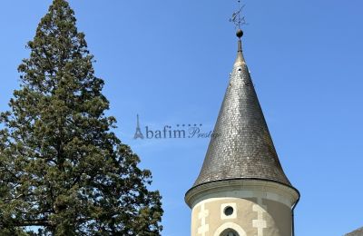 Schloss kaufen Zentrum-Loiretal, Details