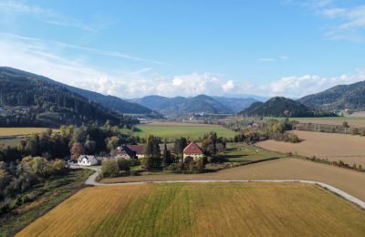 Herrenhaus/Gutshaus kaufen Kärnten, Foto 3/19