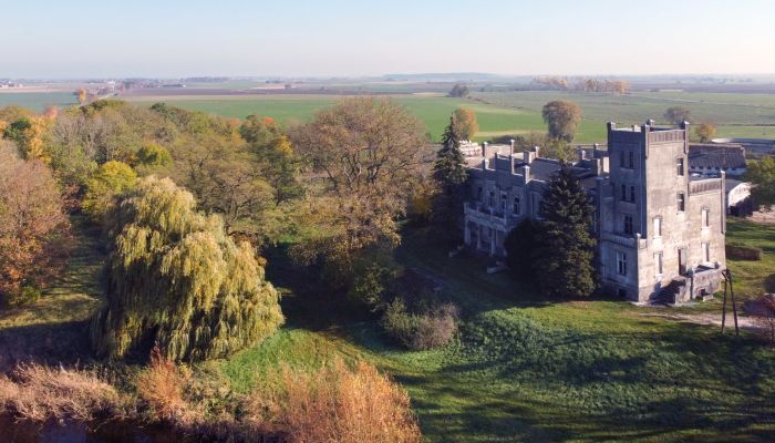 Schloss Górki Dąbskie 2