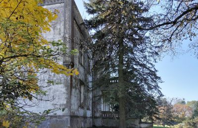 Schloss kaufen Górki Dąbskie, Pałac w Górkach Dąbskich, Kujawien-Pommern, Foto 13/22