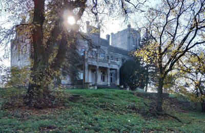 Schloss kaufen Górki Dąbskie, Pałac w Górkach Dąbskich, Kujawien-Pommern, Foto 14/22