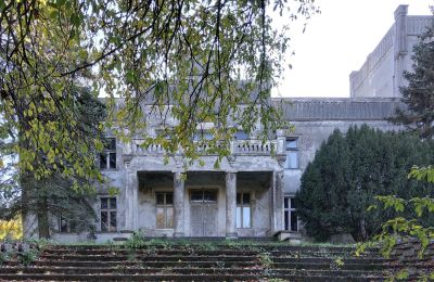 Schloss kaufen Górki Dąbskie, Pałac w Górkach Dąbskich, Kujawien-Pommern, Foto 17/22