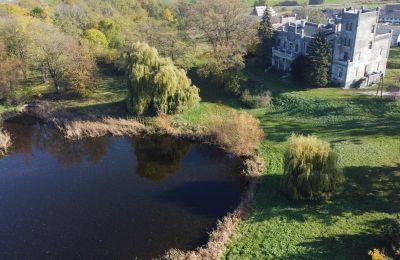 Schloss kaufen Górki Dąbskie, Pałac w Górkach Dąbskich, Kujawien-Pommern, Grundstück