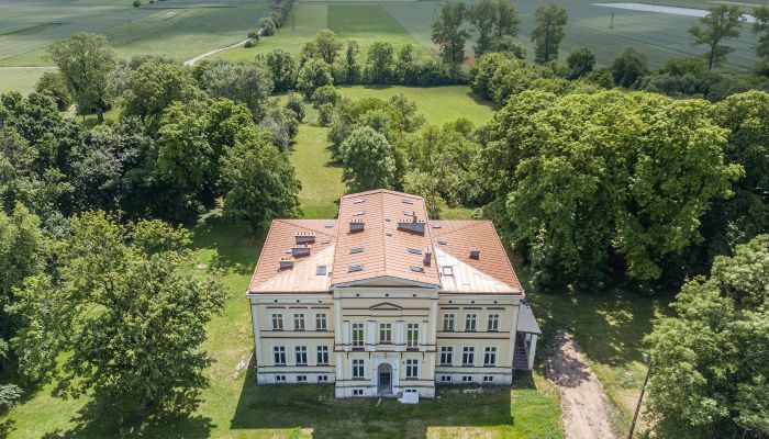 Schloss Karszew, Großpolen