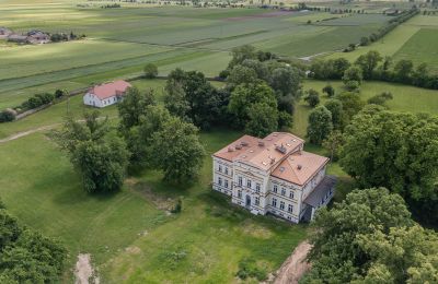 Château à vendre Karszew, Grande-Pologne, Terrain