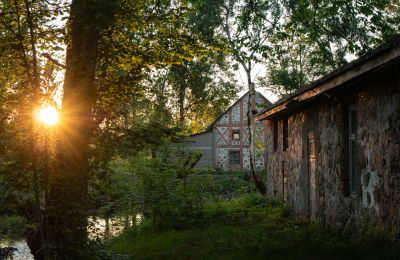 Manoir à vendre Virķēni, Virķēnu muiža, Vidzeme, Image 8/23