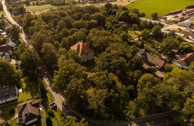 Château à vendre Wilków, Parkowa 1, Voïvodie d'Opole, Situation du bien