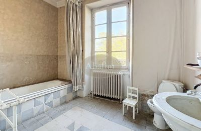 Palazzo in vendita 31000 Toulouse, Occitania, Bagno