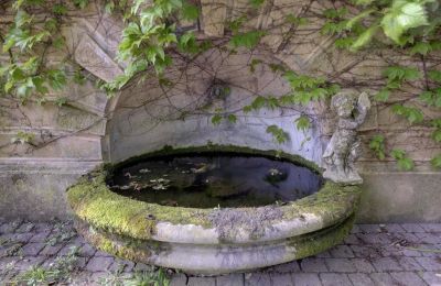 Villa storica in vendita Vernaison, Auvergne-Rhône-Alpes, Foto 16/29