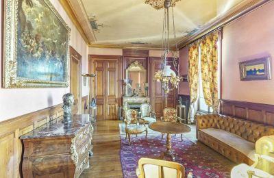 Villa storica in vendita Vernaison, Auvergne-Rhône-Alpes, Zona giorno