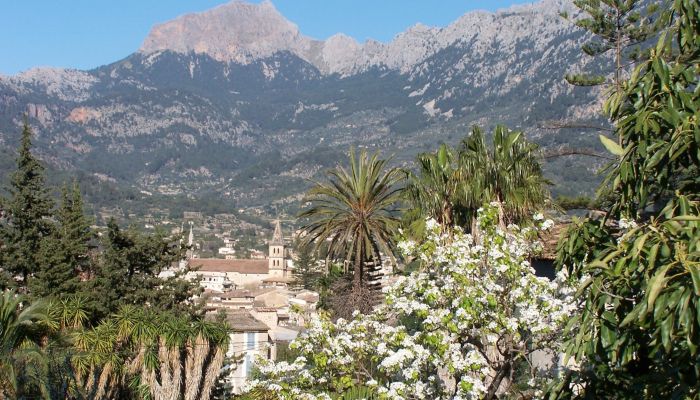 Maison de campagne Sóller 4