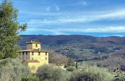 Villa historique à vendre Firenze, Toscane, Situation du bien