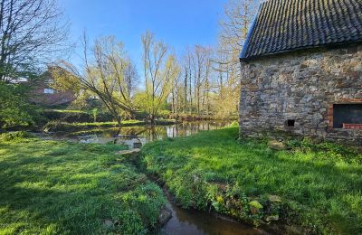 Schloss kaufen Astenet, Wallonien, Foto 15/22