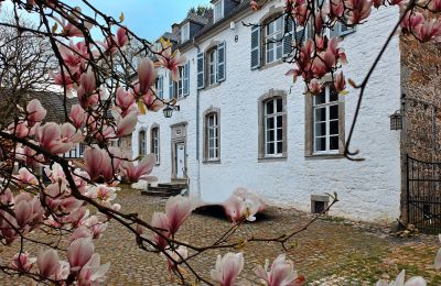 Schloss kaufen Astenet, Wallonien, Foto 11/22