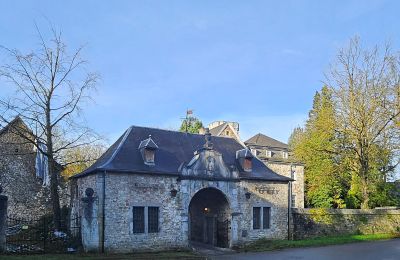 Schloss kaufen Astenet, Wallonien, Foto 2/22