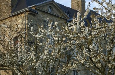 Schloss kaufen Lamballe, Le Tertre Rogon, Bretagne, Foto 22/25