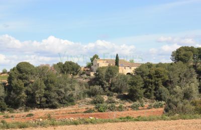 Villa padronale in vendita Vila-rodona, Catalogna, Foto 3/37