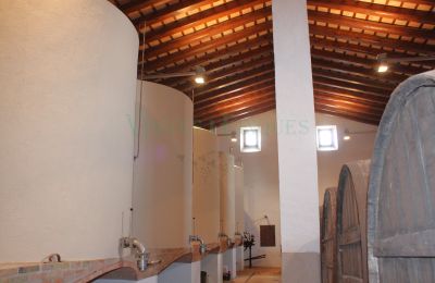 Villa padronale in vendita Vila-rodona, Catalogna, Foto 16/37