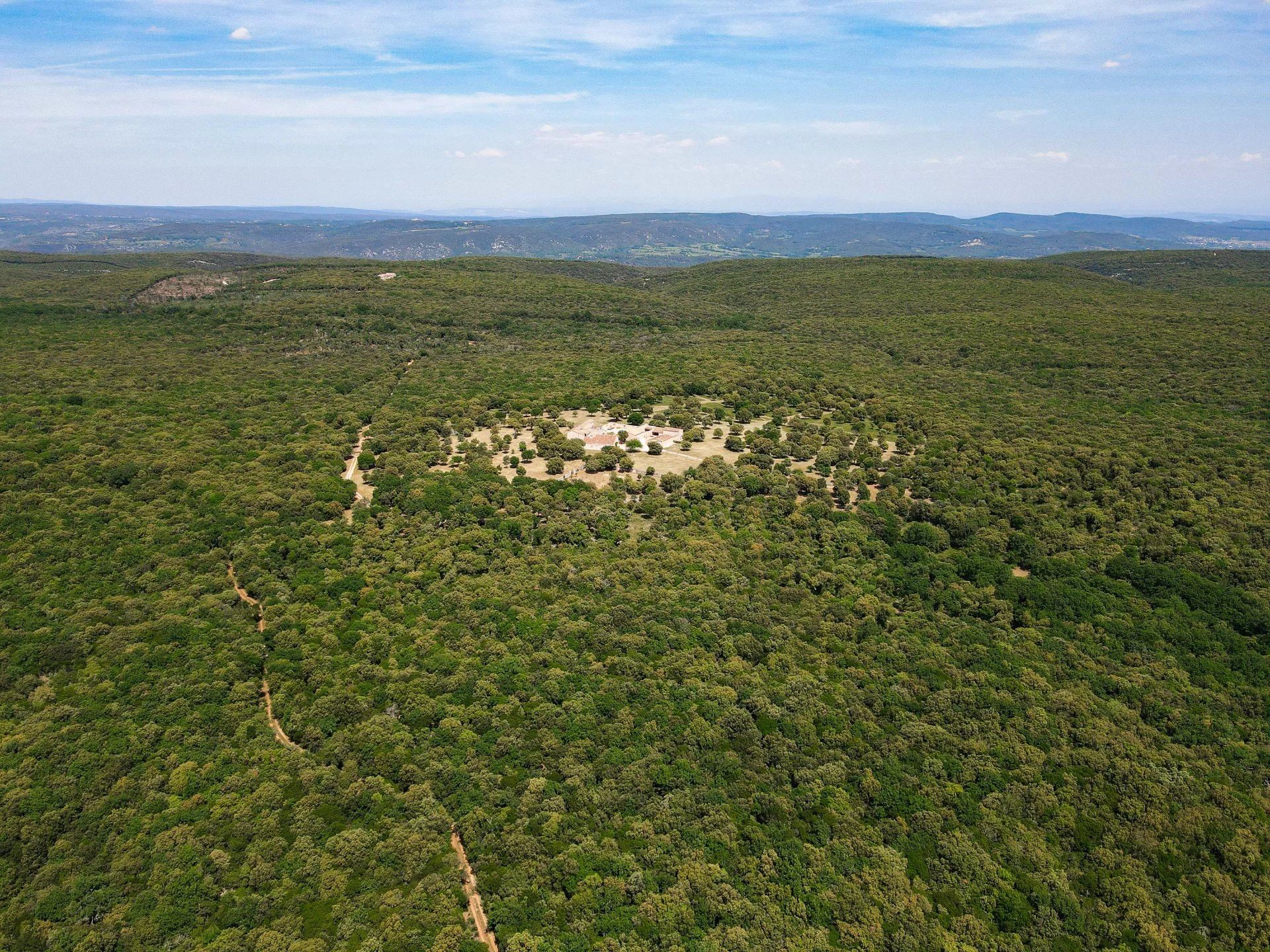 Immagini Sontuosa tenuta forestale nel cuore della Gariga