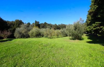 Landhaus kaufen Montecatini Val di Cecina, Toskana, Grundstück