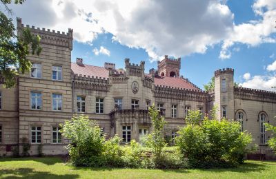 Château à vendre Gościeszyn, Pałac w Gościeszynie, Grande-Pologne, Vue de l'arrière