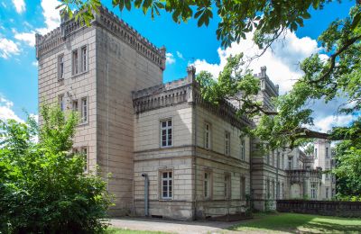 Château à vendre Gościeszyn, Pałac w Gościeszynie, Grande-Pologne, Vue latérale