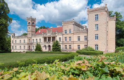 Château à vendre Gościeszyn, Pałac w Gościeszynie, Grande-Pologne, Vue extérieure