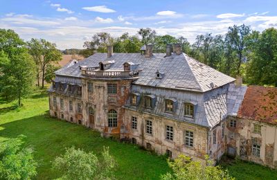 Château à vendre Minkowskie, Minkowskie 69, Voïvodie d'Opole, Image 1/43