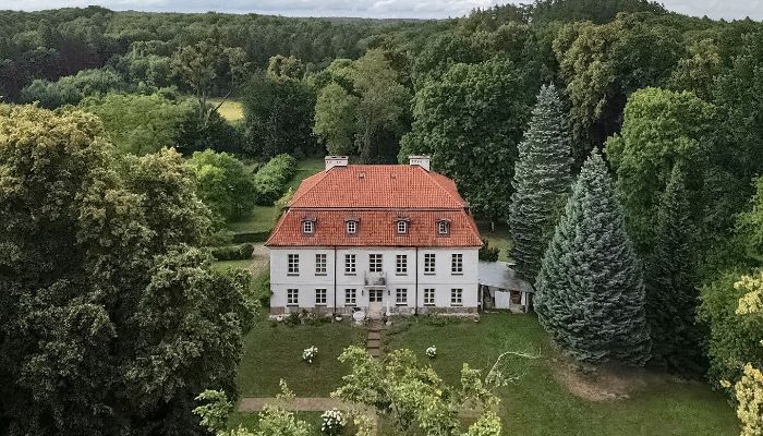 Villa padronale in vendita Dawidy, Voivodato di Varmia-Masuria,  Polonia