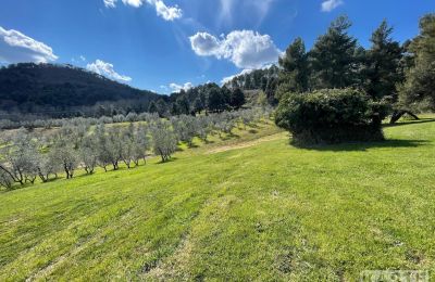 Casa di campagna in vendita Rivalto, Toscana, Proprietà