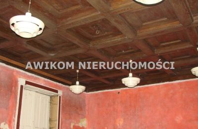 Château à vendre Puszcza Mariańska, Mazovie, Plafond